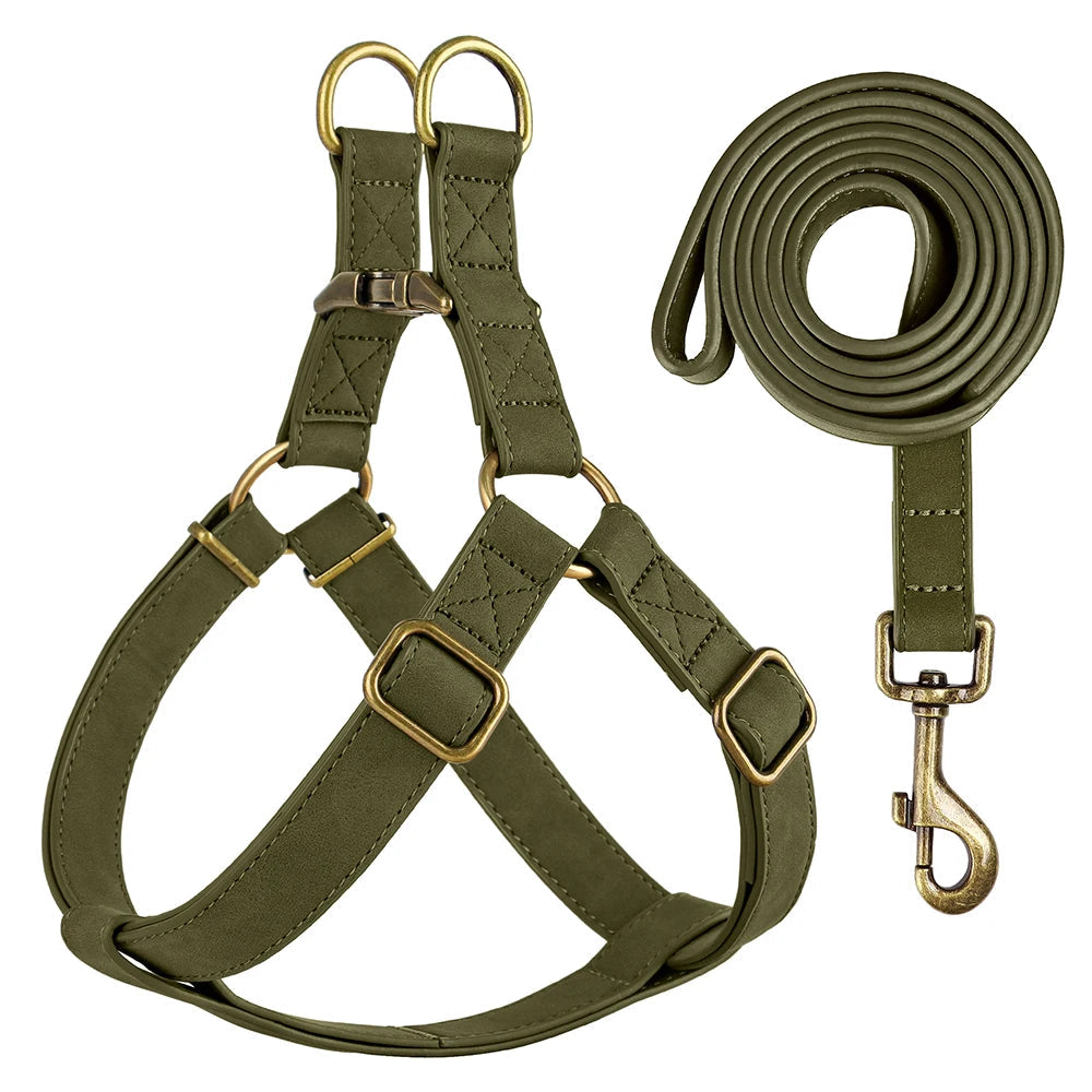 Arnés y Correa de Cuero