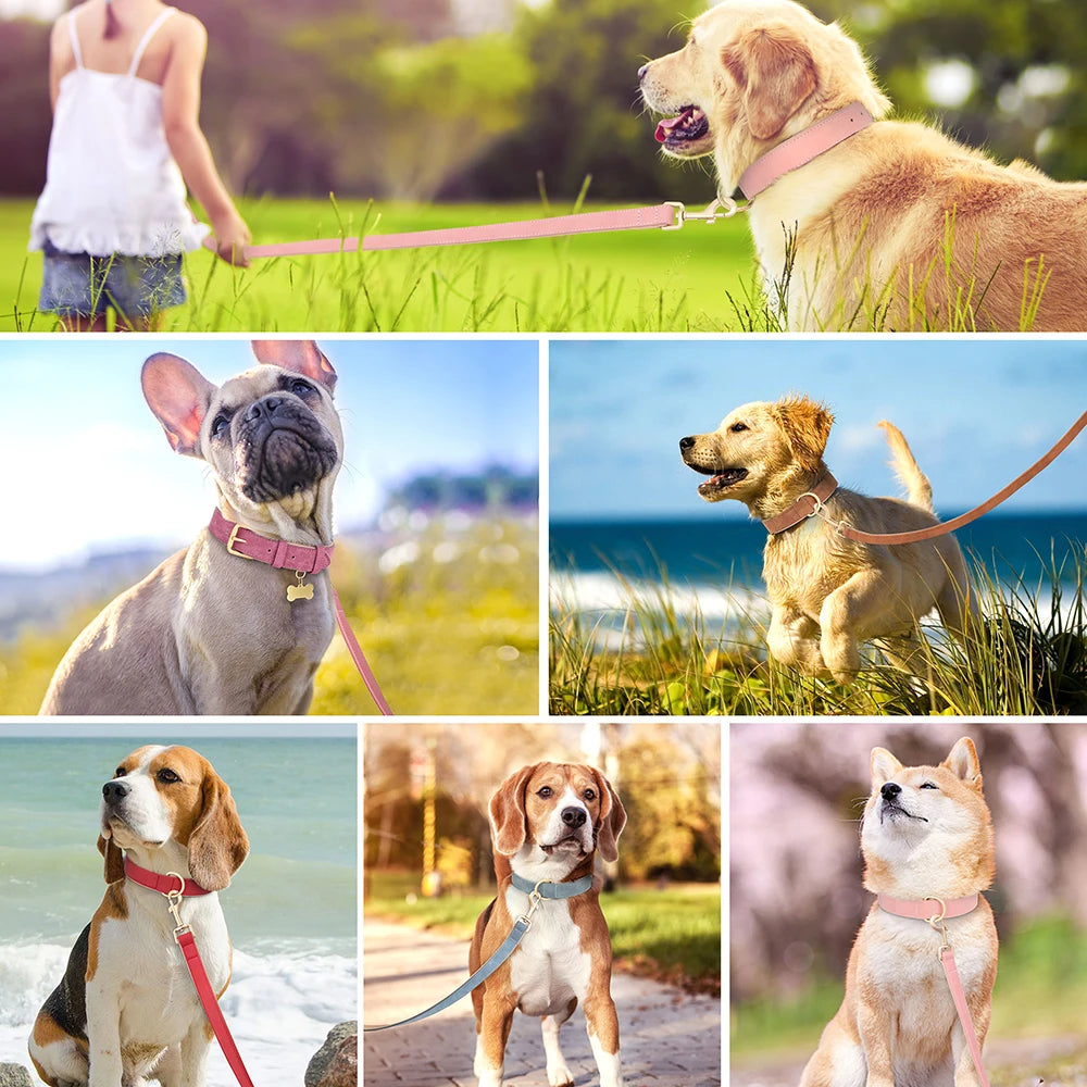 Collar y Correa de Cuero