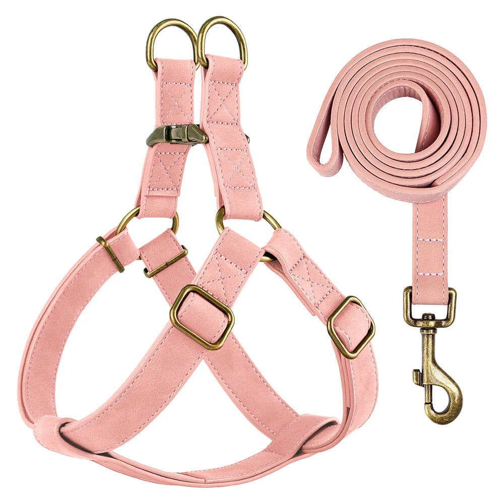 Arnés y Correa de Cuero