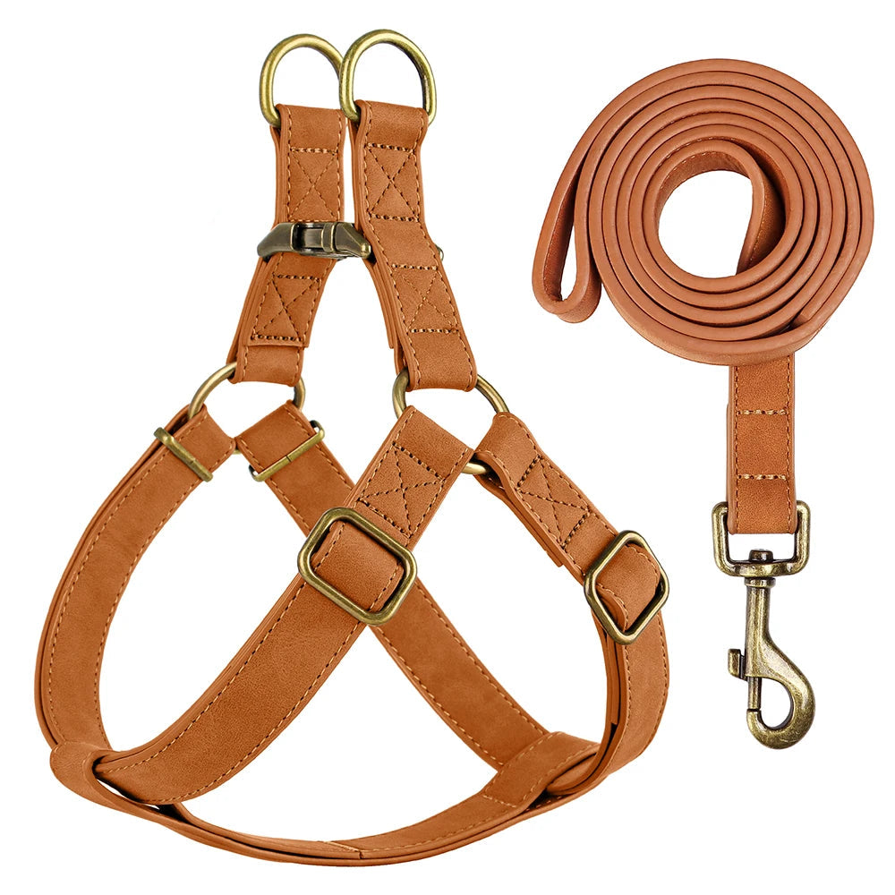 Arnés y Correa de Cuero