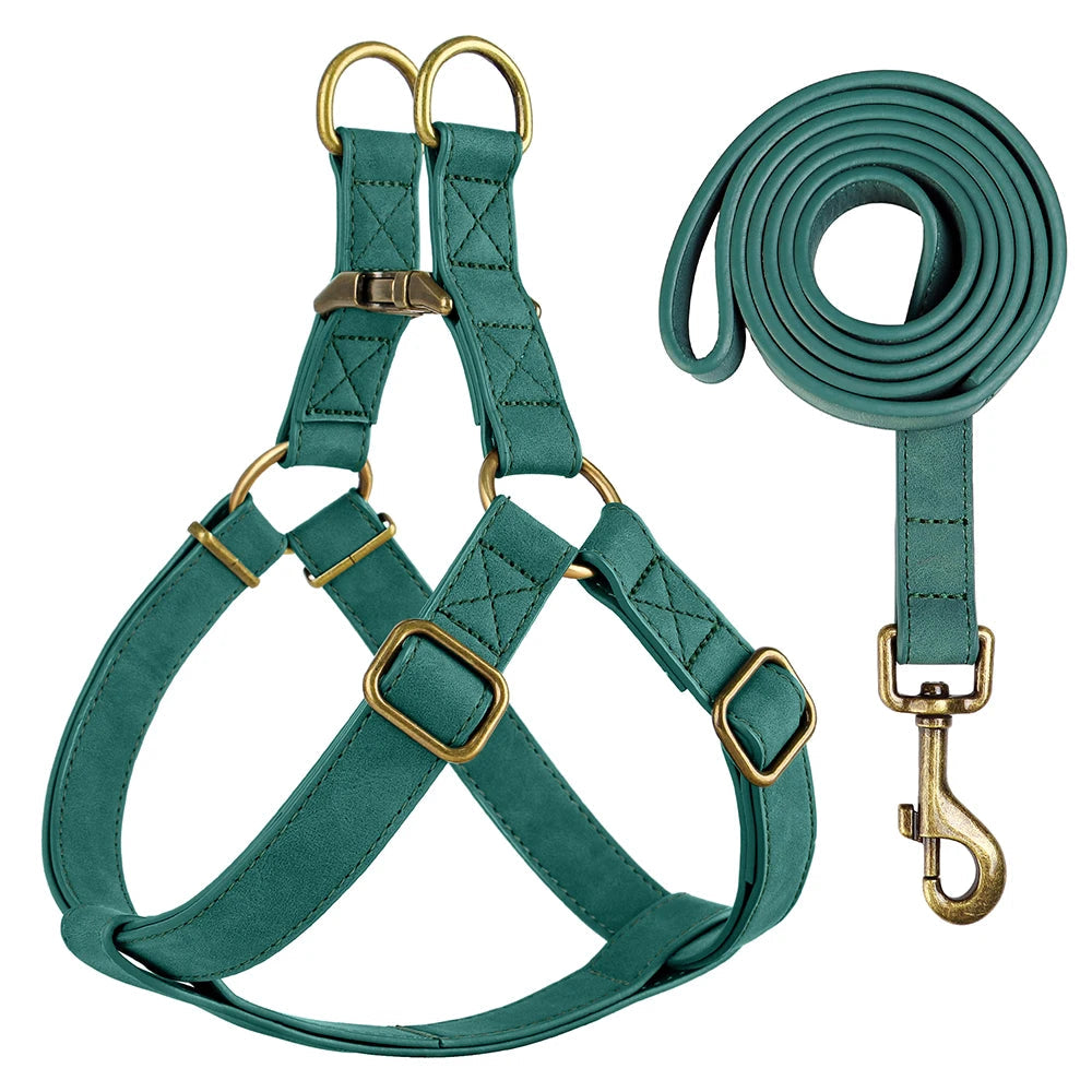 Arnés y Correa de Cuero