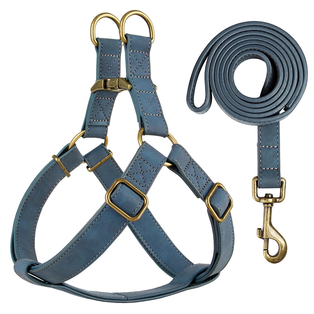 Arnés y Correa de Cuero