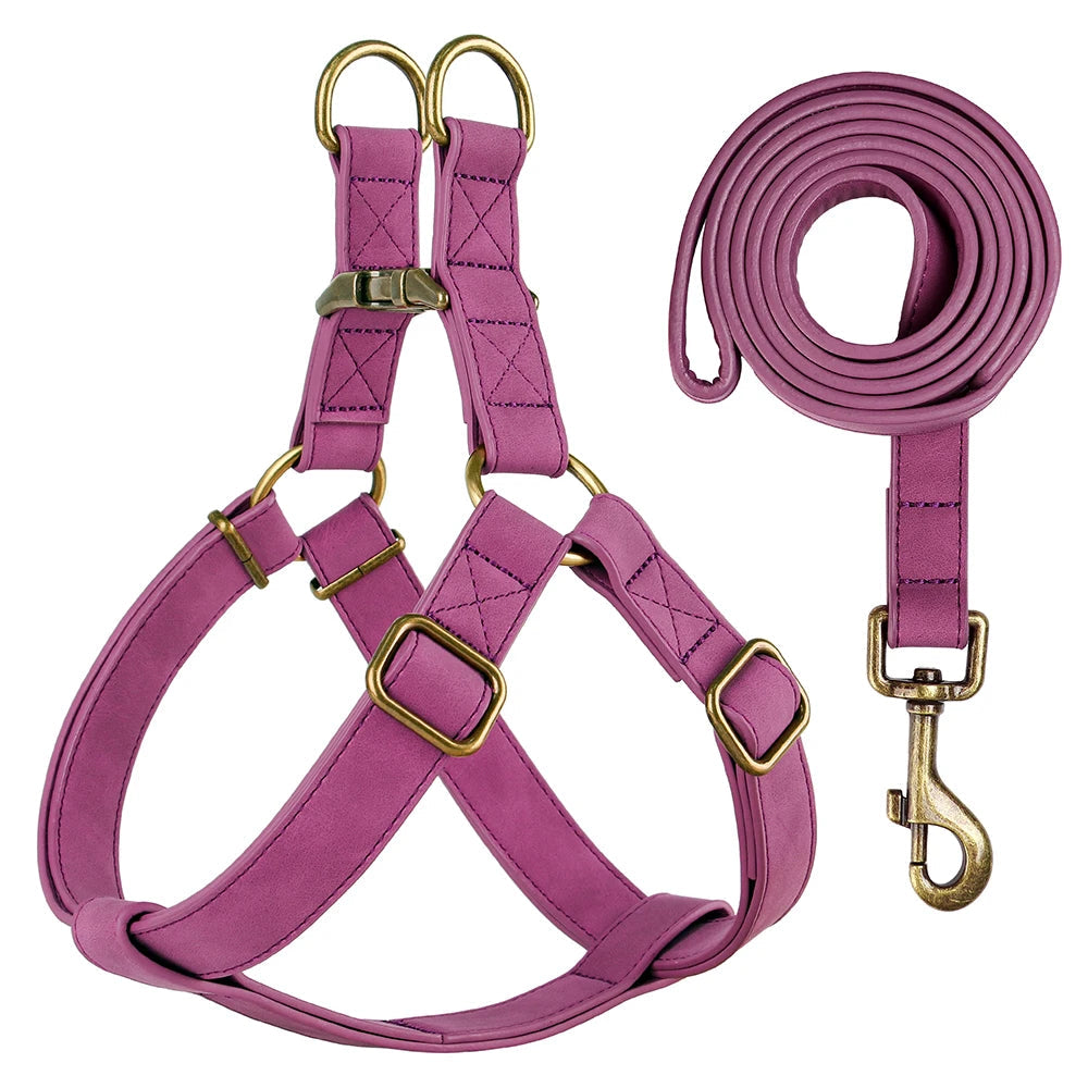 Arnés y Correa de Cuero