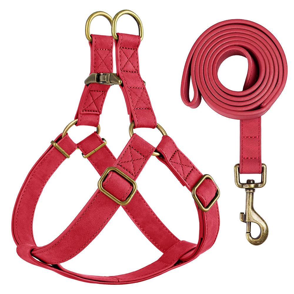 Arnés y Correa de Cuero